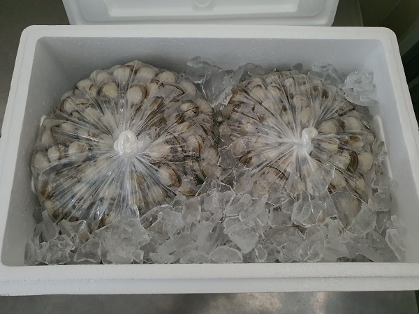 06e5ec46110adaa607ad448bc9a6ce29_1773123823_7673.jpg 06e5ec46110adaa607ad448bc9a6ce29_1773123823_7673.jpg