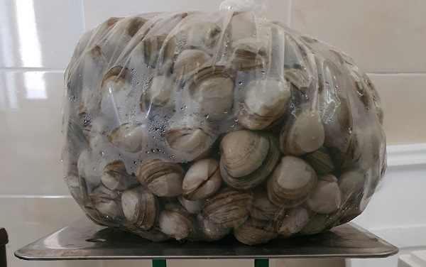 06e5ec46110adaa607ad448bc9a6ce29_1773123824_5128.jpg 06e5ec46110adaa607ad448bc9a6ce29_1773123824_5128.jpg