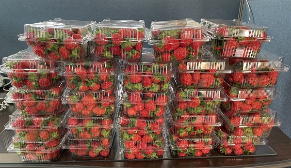 c719b08660a8b4a28baf5901caaa861a_1773187932_1244.jpg c719b08660a8b4a28baf5901caaa861a_1773187932_1244.jpg