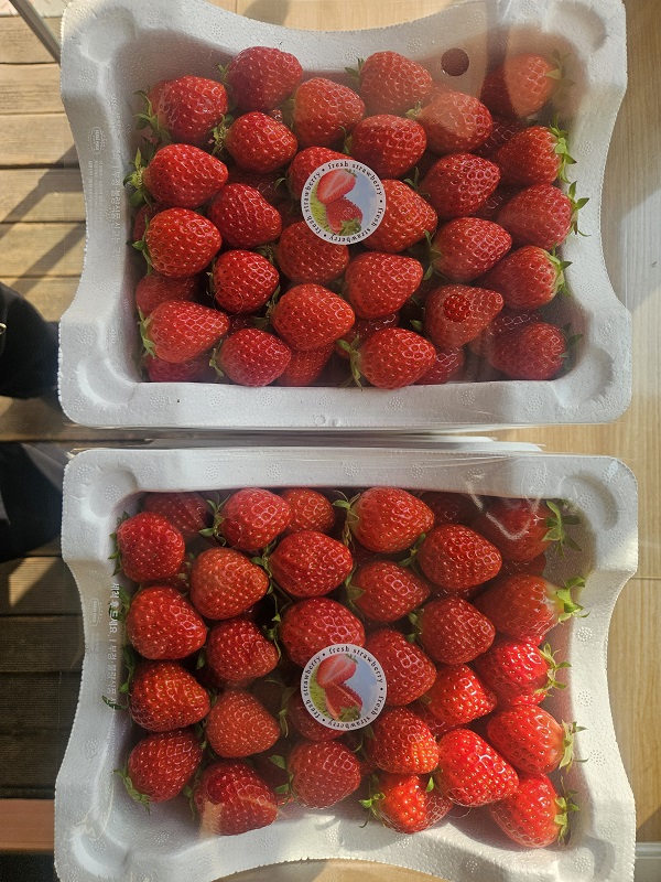 c719b08660a8b4a28baf5901caaa861a_1773188187_2319.jpg c719b08660a8b4a28baf5901caaa861a_1773188187_2319.jpg