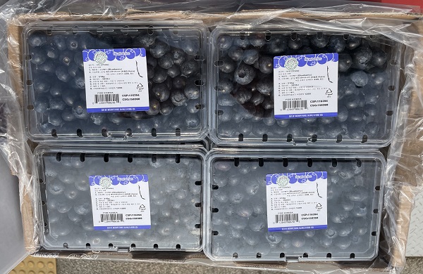 c719b08660a8b4a28baf5901caaa861a_1773188428_0792.jpg c719b08660a8b4a28baf5901caaa861a_1773188428_0792.jpg