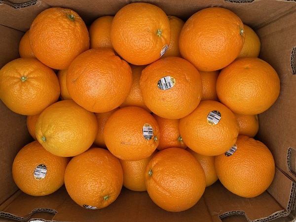 c719b08660a8b4a28baf5901caaa861a_1773191284_864.jpg c719b08660a8b4a28baf5901caaa861a_1773191284_864.jpg