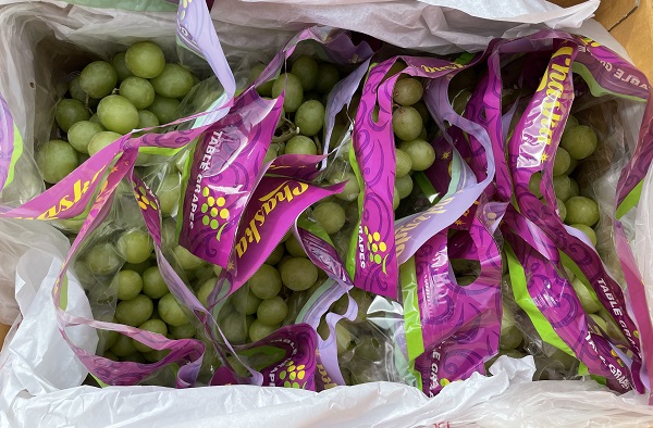 c719b08660a8b4a28baf5901caaa861a_1773192874_7937.jpg c719b08660a8b4a28baf5901caaa861a_1773192874_7937.jpg