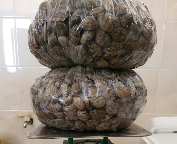 c719b08660a8b4a28baf5901caaa861a_1773193115_7235.jpg c719b08660a8b4a28baf5901caaa861a_1773193115_7235.jpg